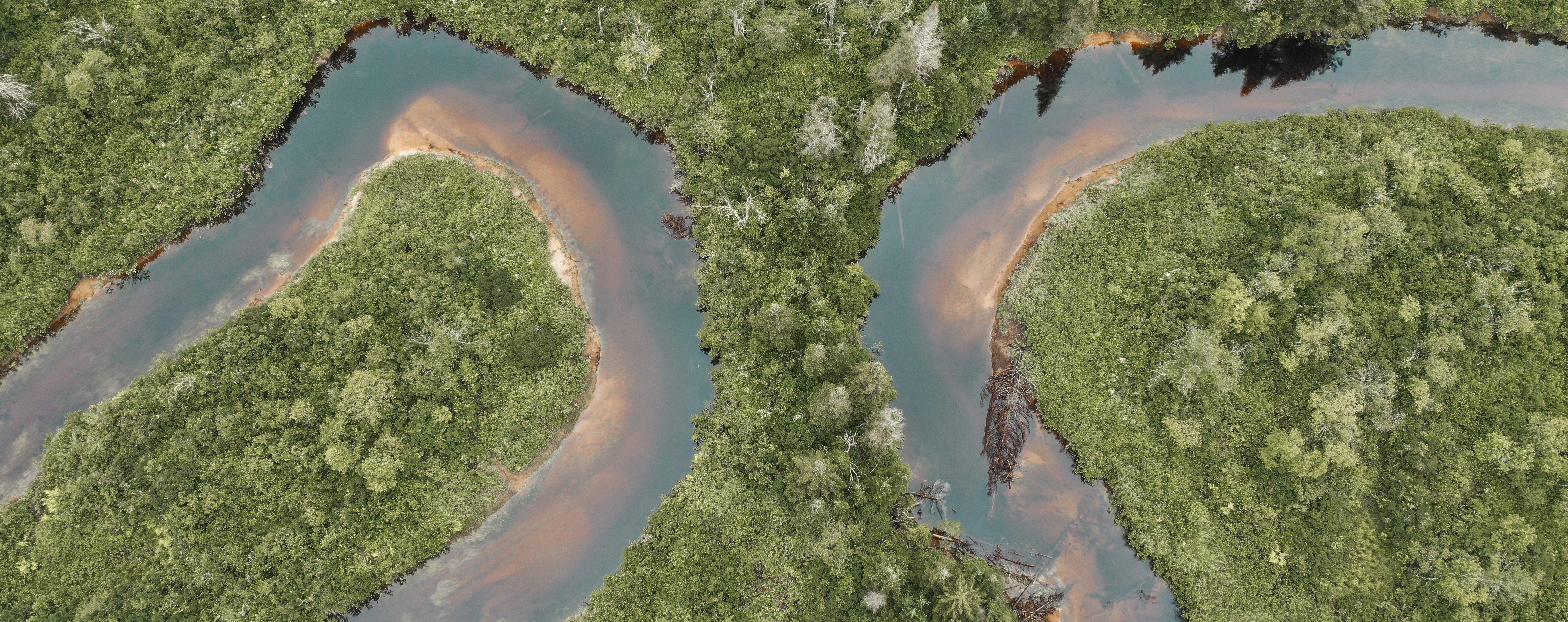 meander bends